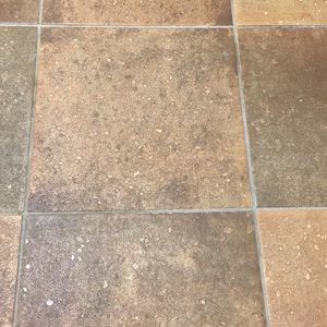 Meet your Posher, Max